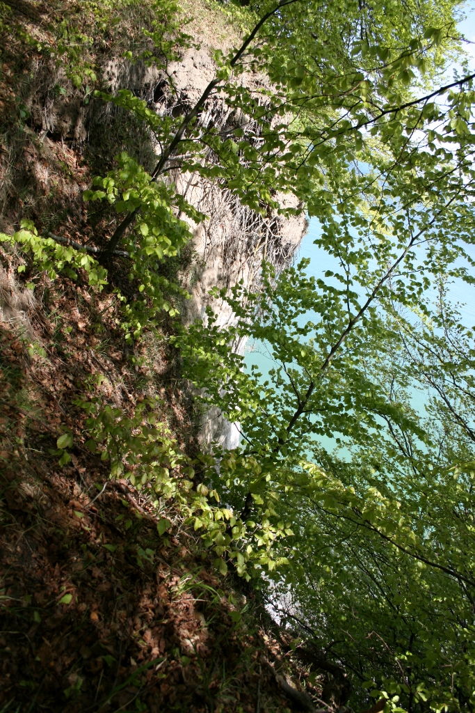 VWG vogelreis Oost Duitsland mei 2010 122